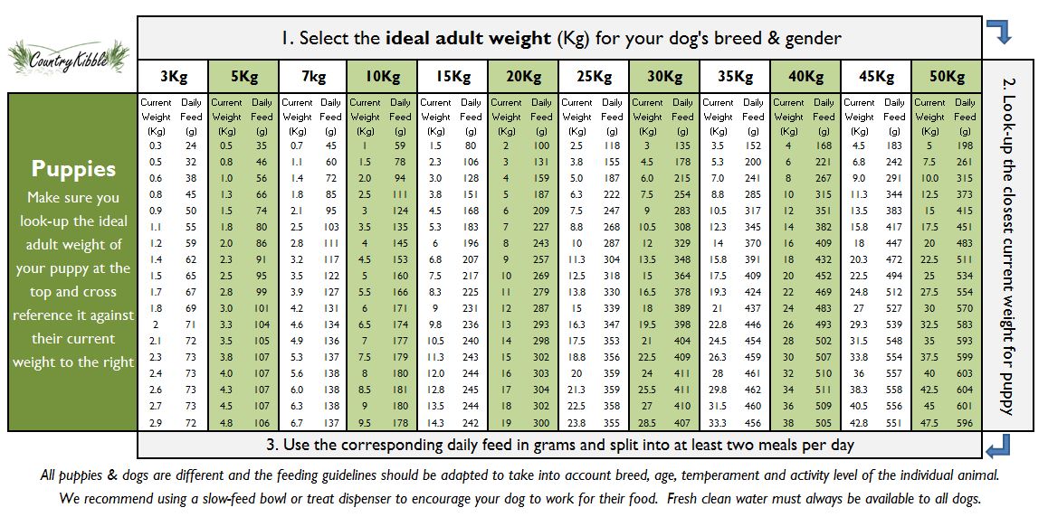 Country Kibble Puppy Feeding Guide